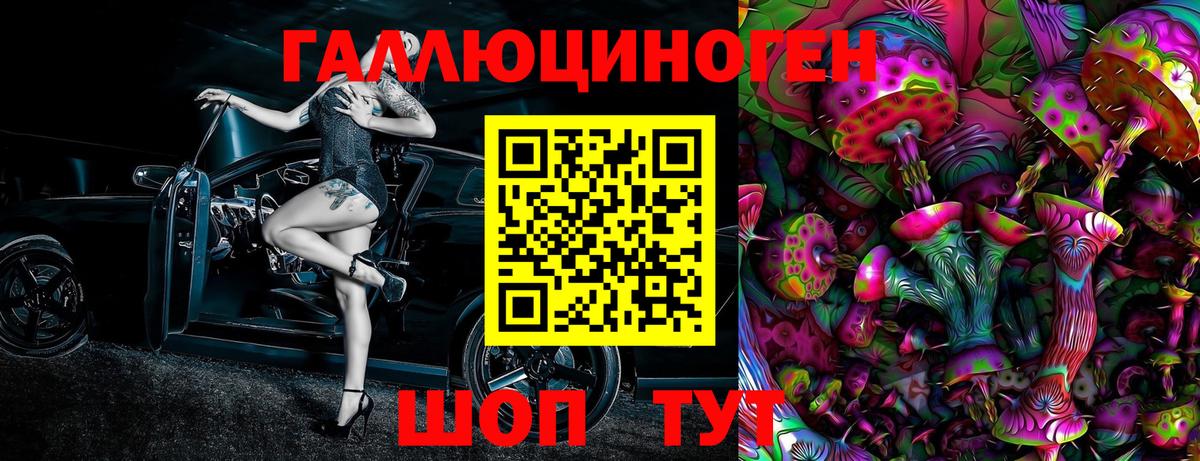 что такое наркотик  Псилоцибиновые грибы GOLDEN TEACHER  Галлюциногенные грибы Cubensis  Вход с VPN  Мурино 