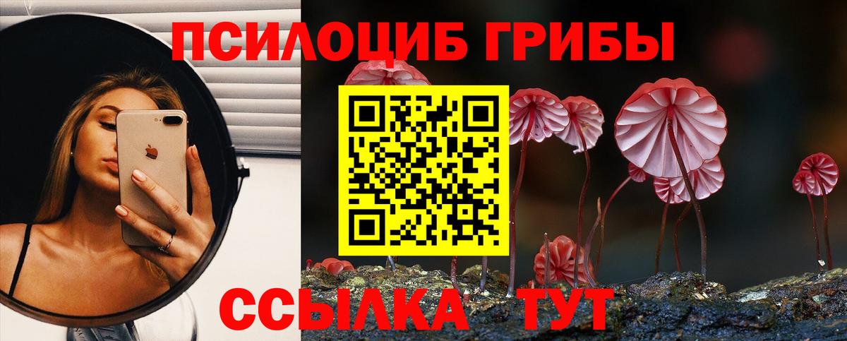 Галлюциногенные грибы прущие грибы Мурино