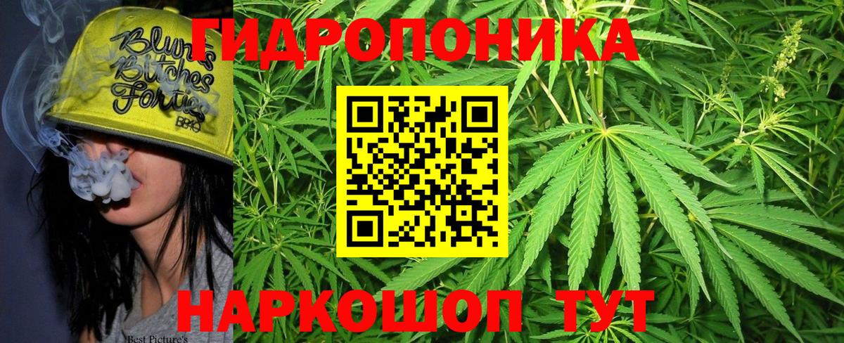 Бошки марихуана OG Kush  Канабис семена  Бошки Шишки White Widow  Марихуана SATIVA & INDICA  Мурино  Вход с VPN 